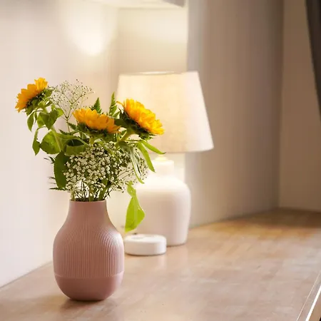 Bruno Domus Design