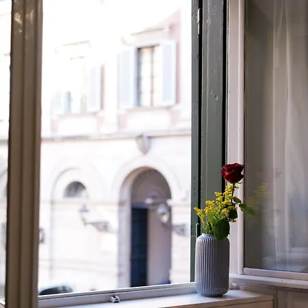 Bruno Domus Design Roma