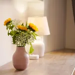 Bruno Domus Design