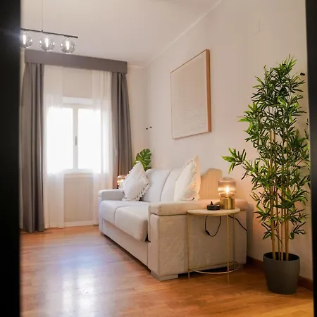 Bruno Domus Design